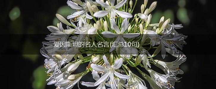 爱因斯坦的名人名言(汇总10句),第1张