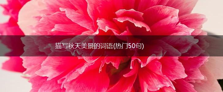 描写秋天美景的词语(热门50句),第1张