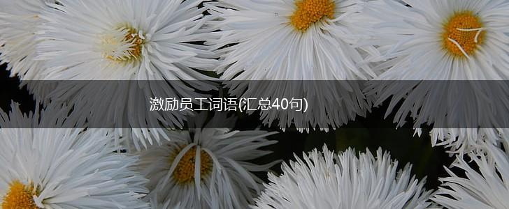 激励员工词语(汇总40句),第1张