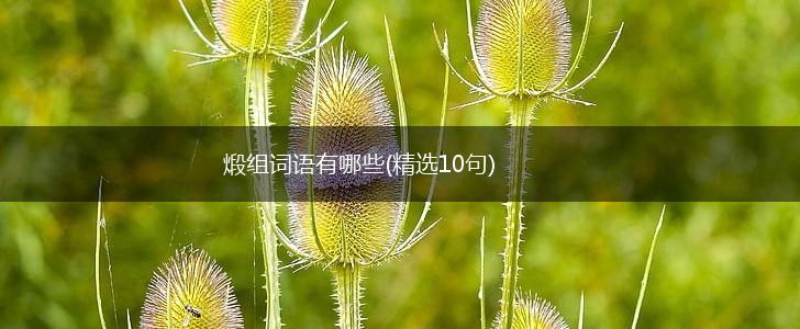 煅组词语有哪些(精选10句),第1张