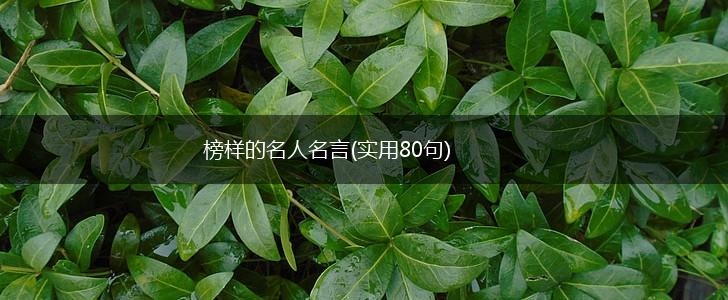 榜样的名人名言(实用80句),第1张