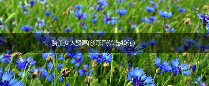 赞美女人贤惠的词语(优选40句),第1张