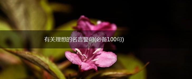 有关理想的名言警句(必备100句),第1张