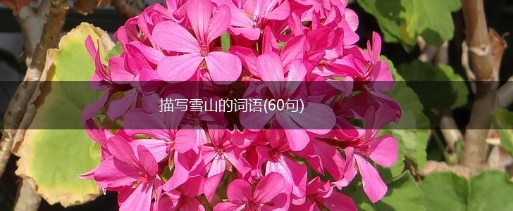 描写雪山的词语(60句),第1张