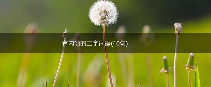 有内涵的二字词语(40句),第1张