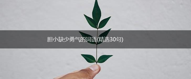 胆小缺少勇气的词语(精选30句),第1张