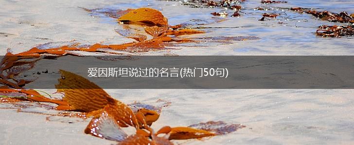 爱因斯坦说过的名言(热门50句),第1张