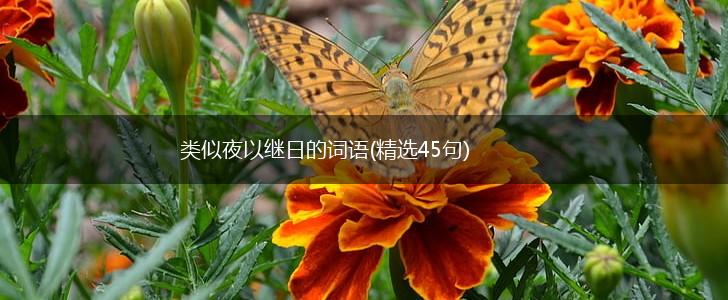 类似夜以继日的词语(精选45句),第1张 类似夜以继日的词语(精选45句),第1张