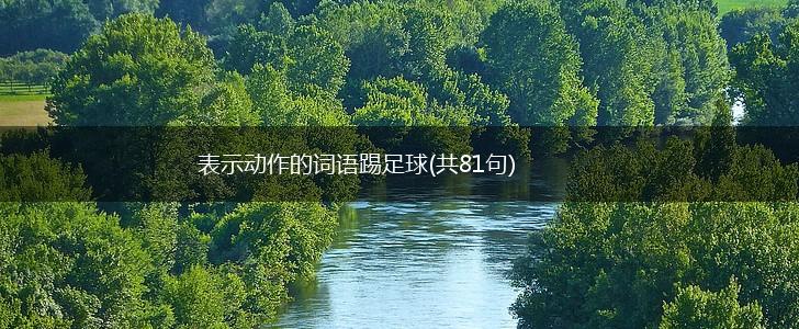 表示动作的词语踢足球(共81句),第1张