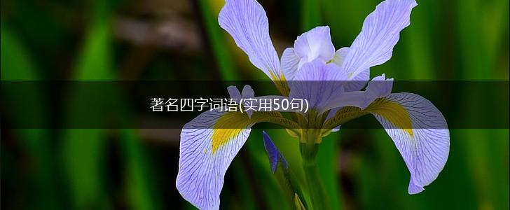 著名四字词语(实用50句),第1张