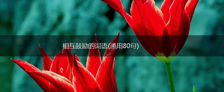 相互鼓励的词语(通用80句),第1张 相互鼓励的词语(通用80句),第1张