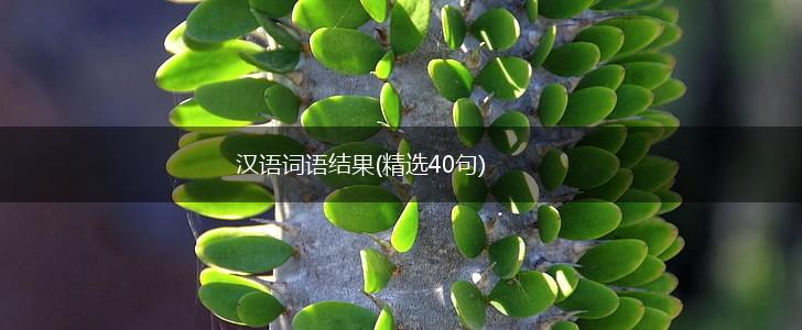 汉语词语结果(精选40句),第1张