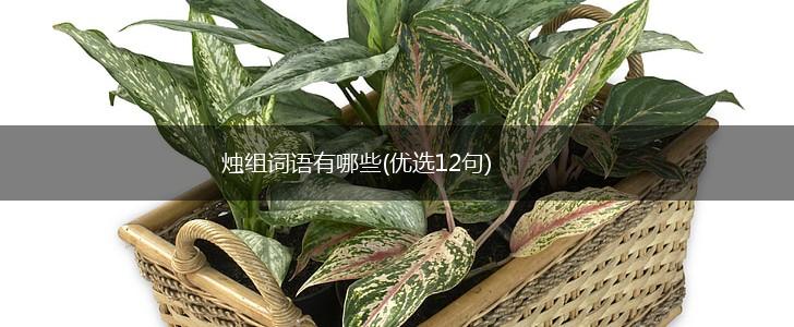 烛组词语有哪些(优选12句),第1张