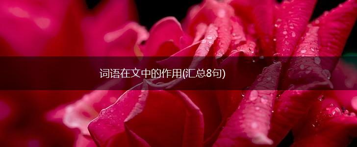 词语在文中的作用(汇总8句),第1张 词语在文中的作用(汇总8句),第1张