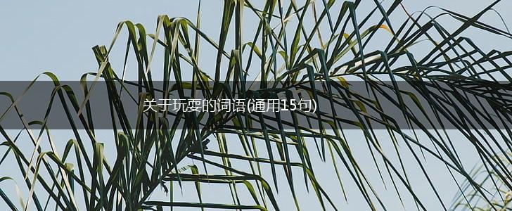 关于玩耍的词语(通用15句),第1张