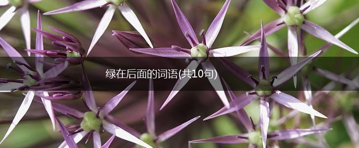 绿在后面的词语(共10句),第1张