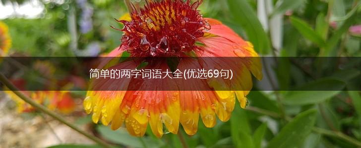 简单的两字词语大全(优选69句),第1张