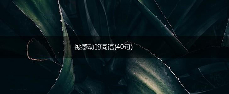 被感动的词语(40句),第1张
