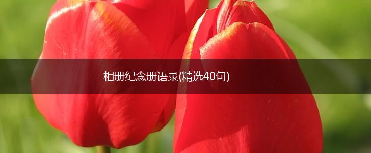 相册纪念册语录(精选40句),第1张