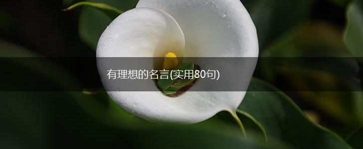 有理想的名言(实用80句),第1张