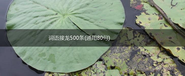 词语接龙500条(通用80句),第1张