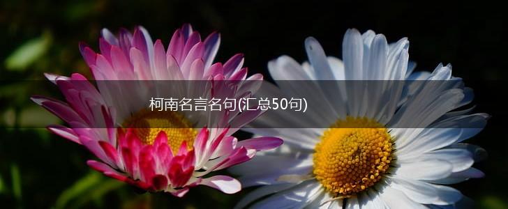 柯南名言名句(汇总50句),第1张