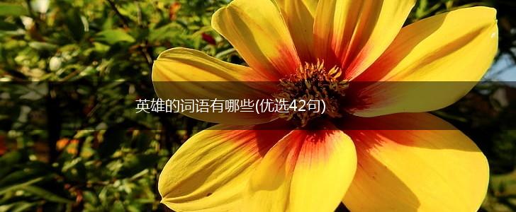 英雄的词语有哪些(优选42句),第1张