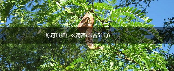 称可以组什么词语(必备51句),第1张