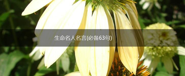 生命名人名言(必备63句),第1张