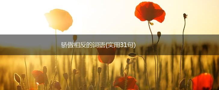 骄傲相反的词语(实用31句),第1张