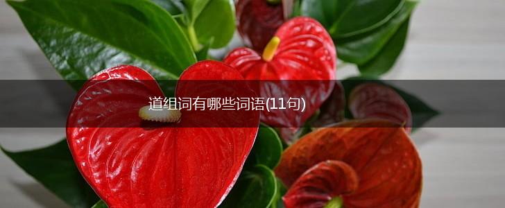 道组词有哪些词语(11句),第1张