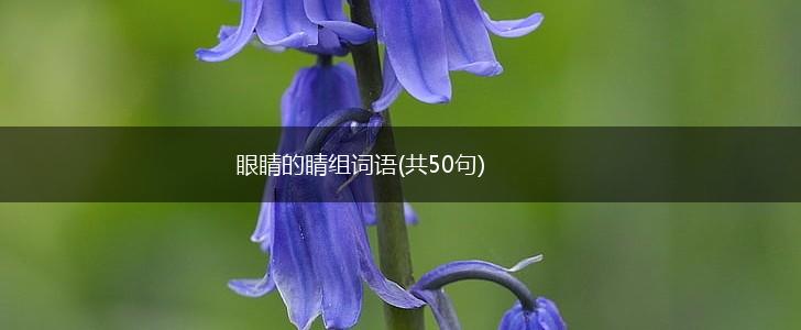 眼睛的睛组词语(共50句),第1张