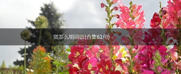 贤怎么组词语(合集61句),第1张