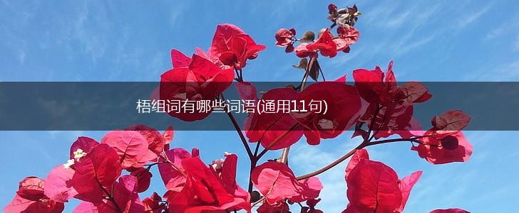 梧组词有哪些词语(通用11句),第1张