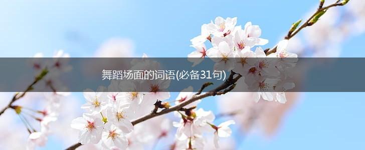 舞蹈场面的词语(必备31句),第1张