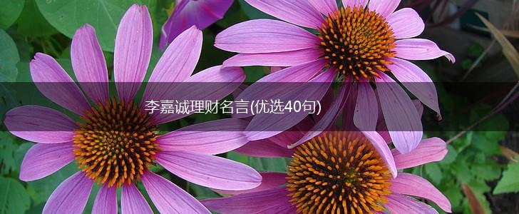 李嘉诚理财名言(优选40句),第1张 李嘉诚理财名言(优选40句),第1张