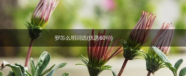 罗怎么组词语(优选60句),第1张