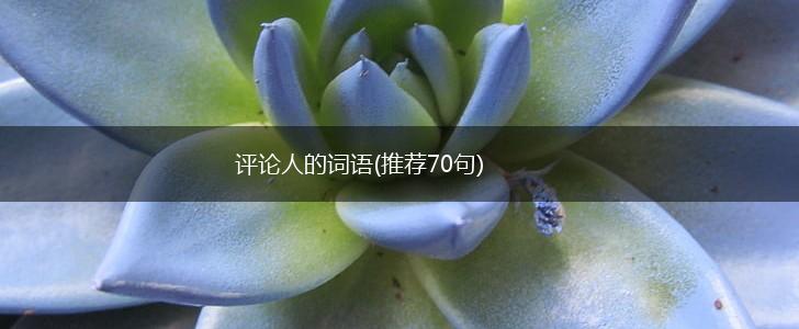 评论人的词语(推荐70句),第1张