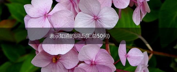 表示知道的词语(汇总50句),第1张