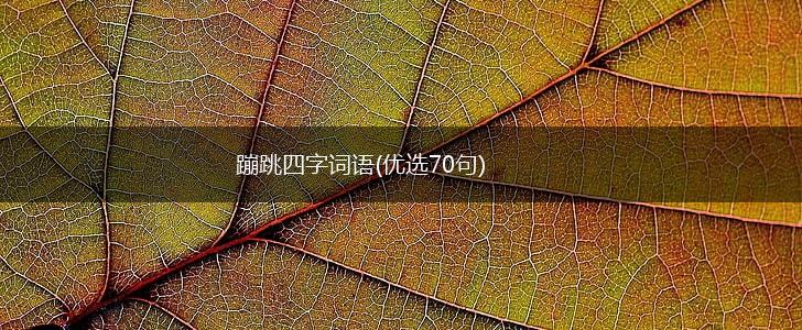 蹦跳四字词语(优选70句),第1张