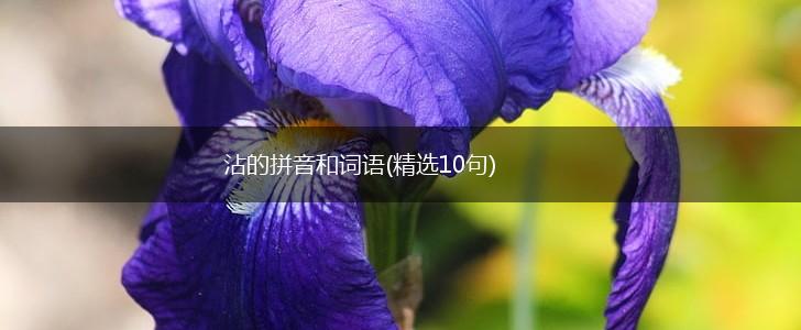 沾的拼音和词语(精选10句),第1张