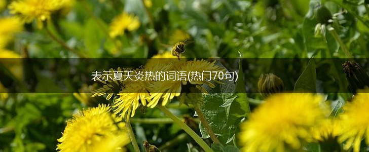表示夏天炎热的词语(热门70句),第1张