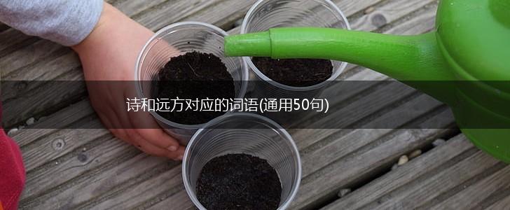 诗和远方对应的词语(通用50句),第1张 诗和远方对应的词语(通用50句),第1张