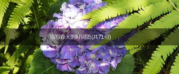 描写春天的好词语(共71句),第1张