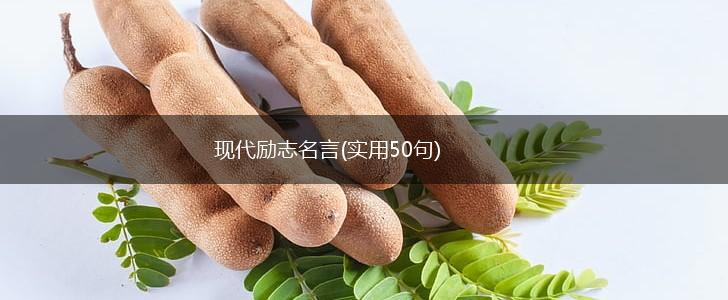 现代励志名言(实用50句),第1张