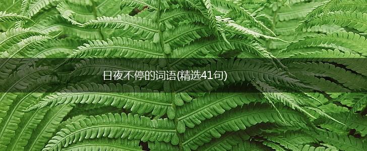 日夜不停的词语(精选41句),第1张