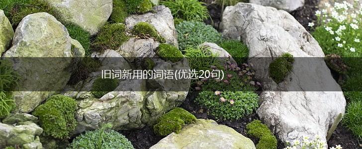 旧词新用的词语(优选20句),第1张 旧词新用的词语(优选20句),第1张