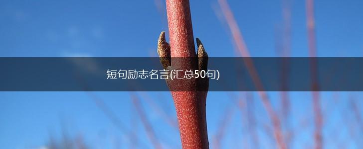 短句励志名言(汇总50句),第1张 短句励志名言(汇总50句),第1张