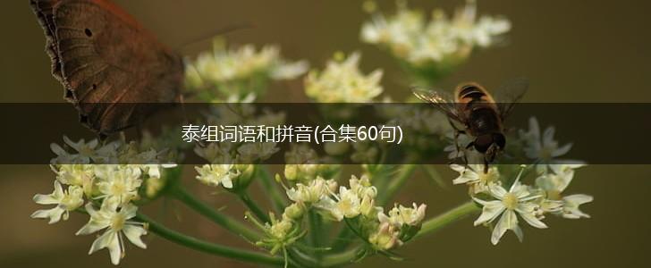 泰组词语和拼音(合集60句),第1张