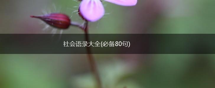 社会语录大全(必备80句),第1张